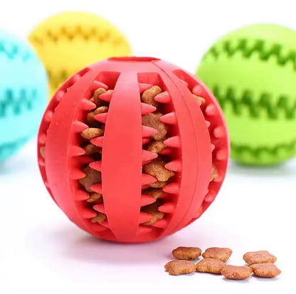 TreatBall Chew Toy