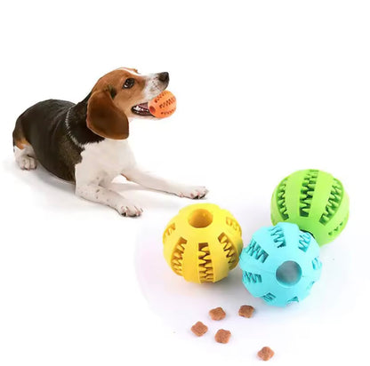 TreatBall Chew Toy