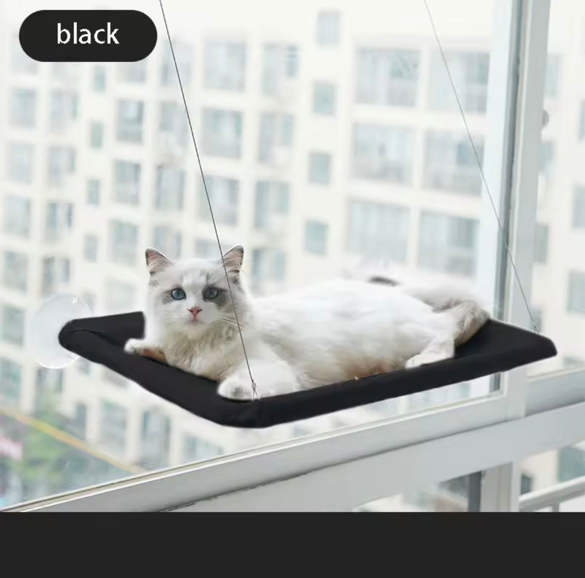 Hanging Cat Hammock Window Bed