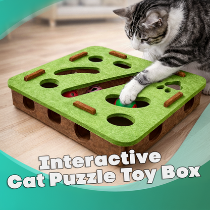 Interactive Cat Puzzle Toy Box